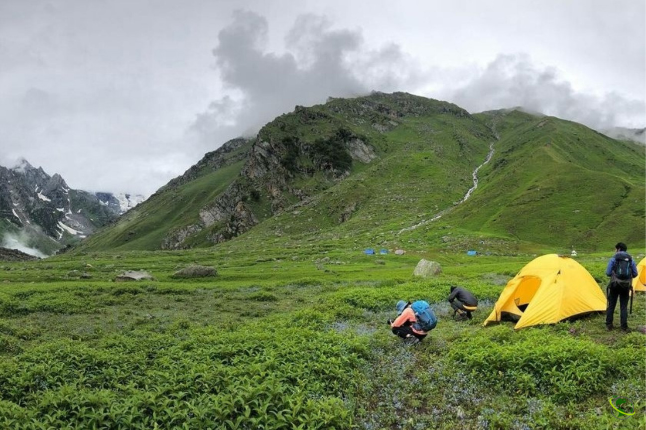 Pin Bhaba Pass Trek Package Cost Trekking Route Trek Guide Tripoph